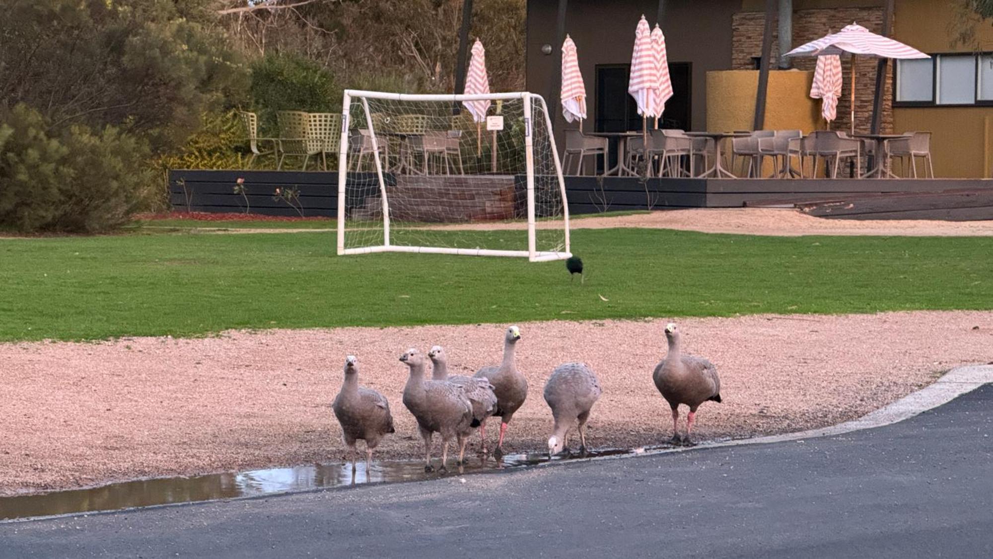 קאווס The Nature Resort Villas מראה חיצוני תמונה